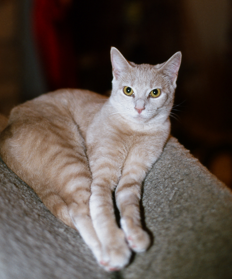 1 / 60